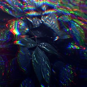 Meet your Posher, Macey